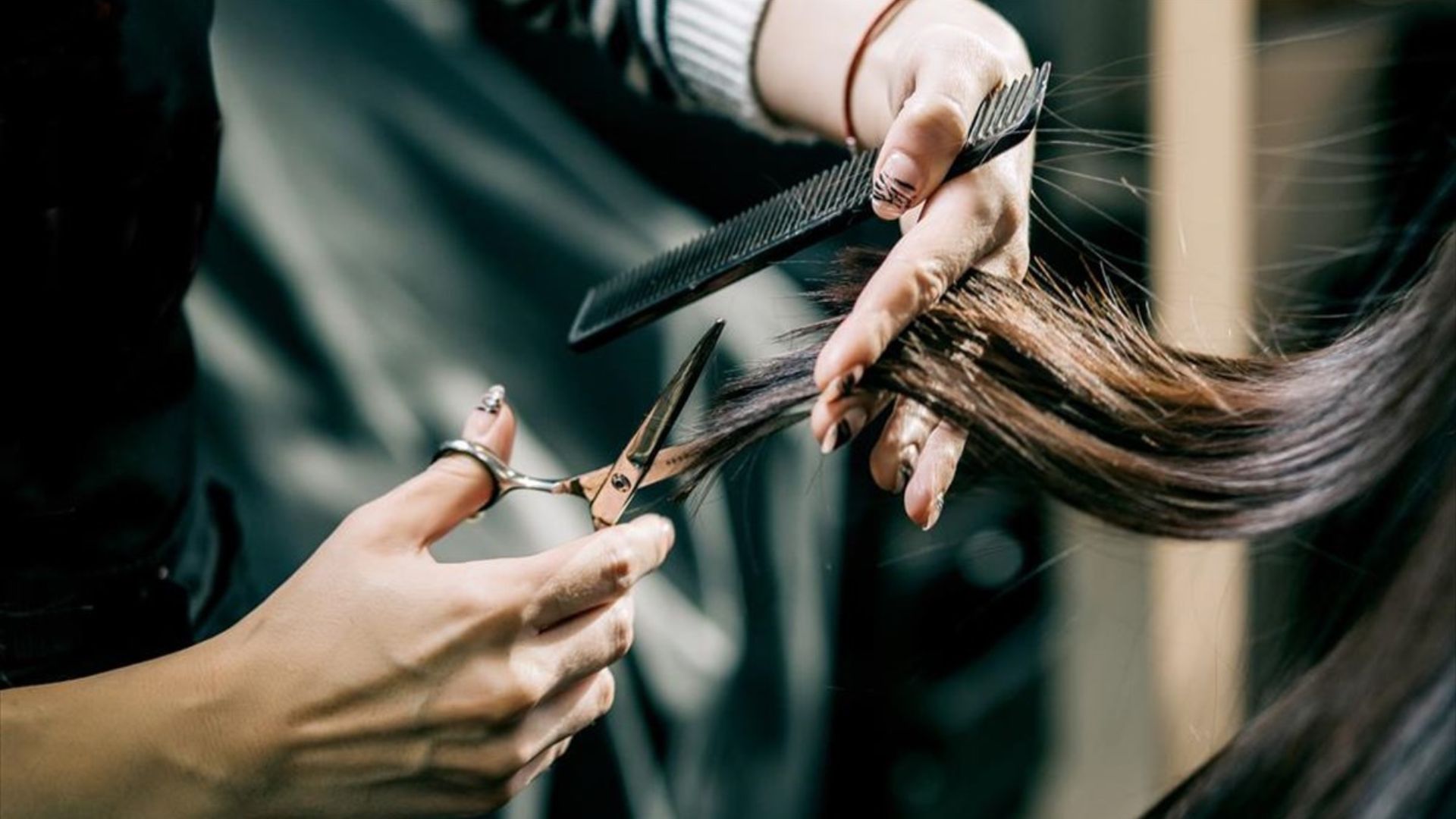 What is the evolution of the Hairdresser?