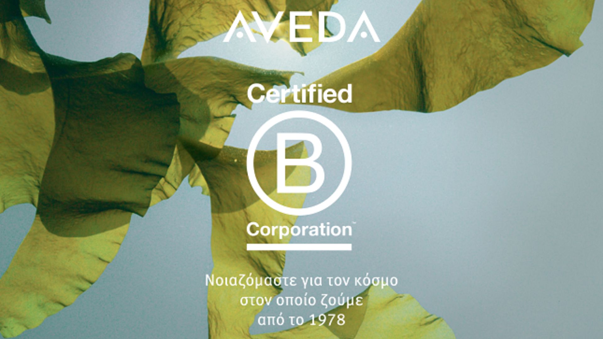 Η Aveda ανακοινώνει την πιστοποίηση B Corp
